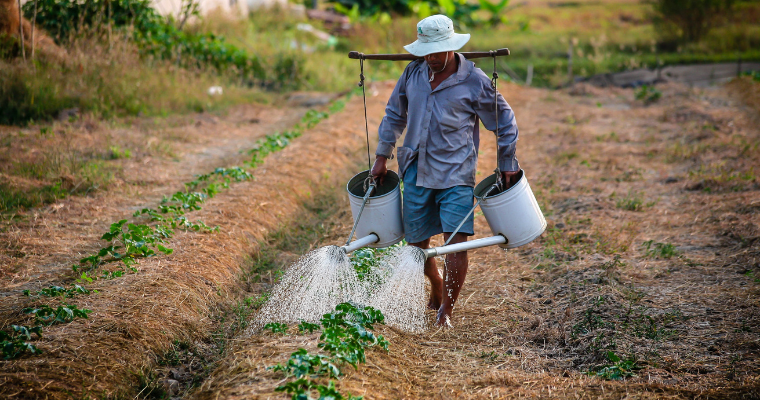 bracciante che lavoro in un campo agricolo